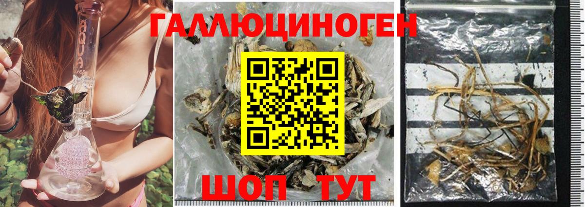 Псилоцибиновые грибы ЛСД Южноуральск