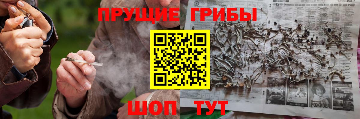 Южноуральск  Галлюциногенные грибы Psilocybine cubensis  Вход с VPN  Галлюциногенные грибы ЛСД 